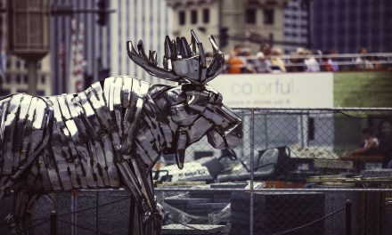 moose